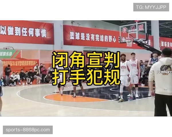 篮球规则揭秘：打手犯规的判定标准与判罚依据